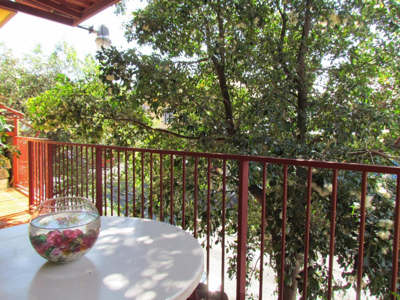 Hostel Shakti Σαν Χοσέ Εξωτερικό φωτογραφία